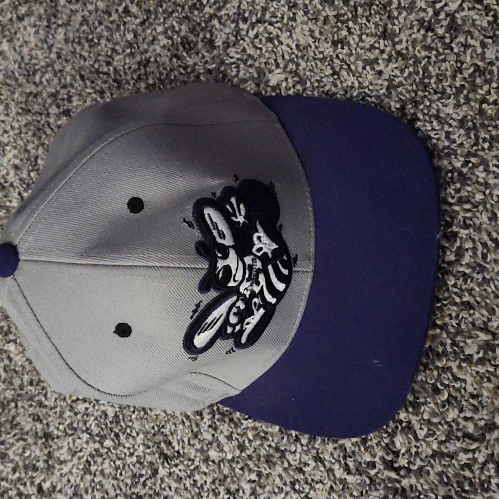Charlotte Hornets baseball hat
